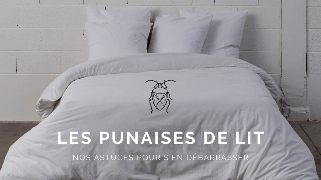 Entretenir son linge de lit et se débarrasser des punaises de lit